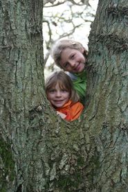 Zwei Kinder schauen an Baumstämmen vorbei