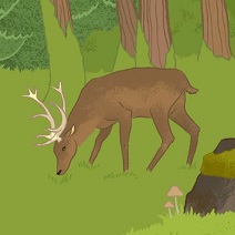 Hirsch im Wald