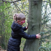 Ein Mädchen tastet mit verbundenen Augen einen Baumstamm ab.