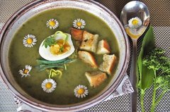 Grüne Suppe, garniert mit Gänseblümchen