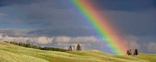 Ein Regenbogen über einer hügeligen Graslandschaft