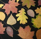 Getrocknete Herbstblätter