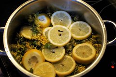 Löwenzahn und Zitronenscheiben in einem Kochtopf