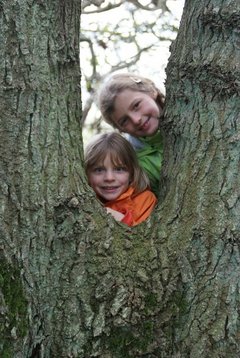 Zwei Mädchen Schauen Zwischen Zwei BaumStämmen Hindurch.