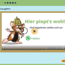 Screenshot des Themenpakets Singvögel