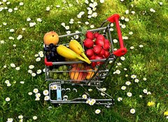 Mini-Einkaufswagen mit  Gemüse und Obst