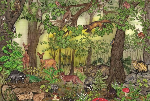 Wimmelbild vom Wald