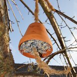 Eine FutterGlocke Am Baum