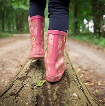 Pinke Gummistiefel Laufen Auf Einem BaumStamm Im Wald.