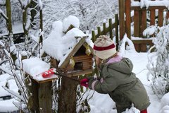 Kind beseitigt Schnee von einem Vogelhaus.