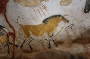 Pferd aus der Höhle von Lascaux