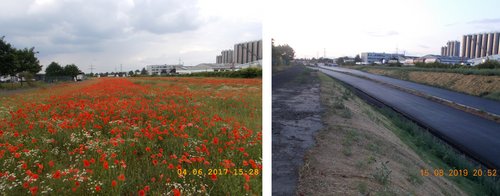 Vorher-Nachher-Bild: Links Blumenwiese, rechts Straße