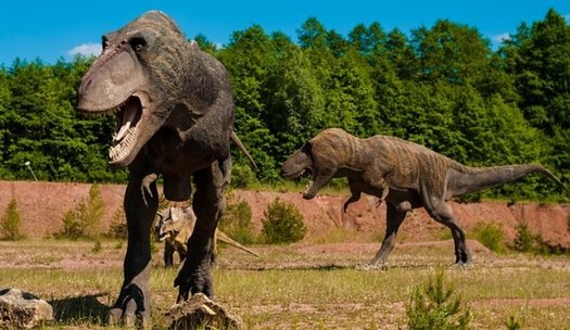 Modelle von Tyrannosaurus Rex in einem Freizeitpark