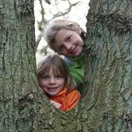 Kinder schauen an Baumstämmen vorbei