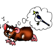 Konstantin. Grafik: Anja Addis / BfN Hamster Konstantin lauscht Vogelstimmen