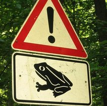 WarnSchild Zur KrötenWanderung