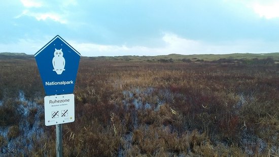 Schild "Nationalpark" vor Sumpflandschaft