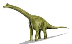Zeichnung eines Brachiosaurus.