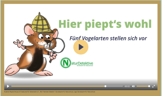 Titelbild Des Themenpakets Singvögel