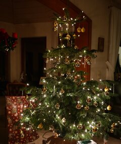 Geschmückter Weihnachtsbaum Mit Geschenken Darunter In Einem Zimmer