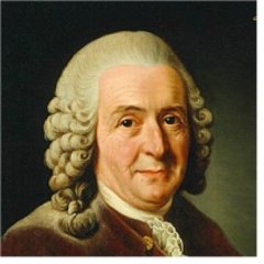 Carl von Linné, Portrait von 1775