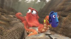 Dorie und ihr Freund, der Oktopus, im Aquarium
