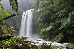 Wasserfall in tropischer Landschaft mit Baumfarn.