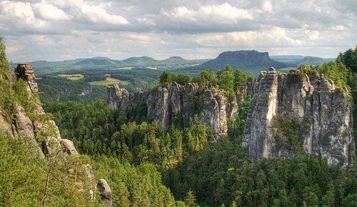 Felsen und Wald im Nationalpark Sächsische Schweiz