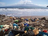 Müll an einem Strand auf Hawaii