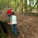 Kinder gehen entlang eines Seils durch einen Wald