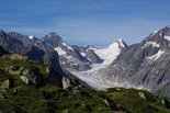 Grüne Matten und Gipfel über dem Aletsch-Gletscher.