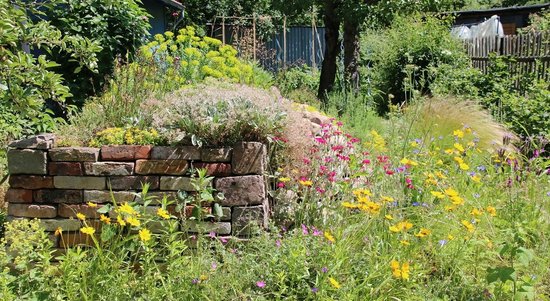 Naturgarten mit Blumen und Trockenmauer