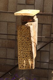 Bienenhotel aus Holzscheit