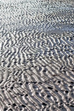 Sandiger Meeresboden mit Pfützen.