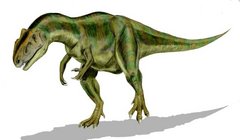 Zeichnung eines Allosaurus