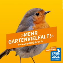 Wahlplakat des Rotkehlchens.
